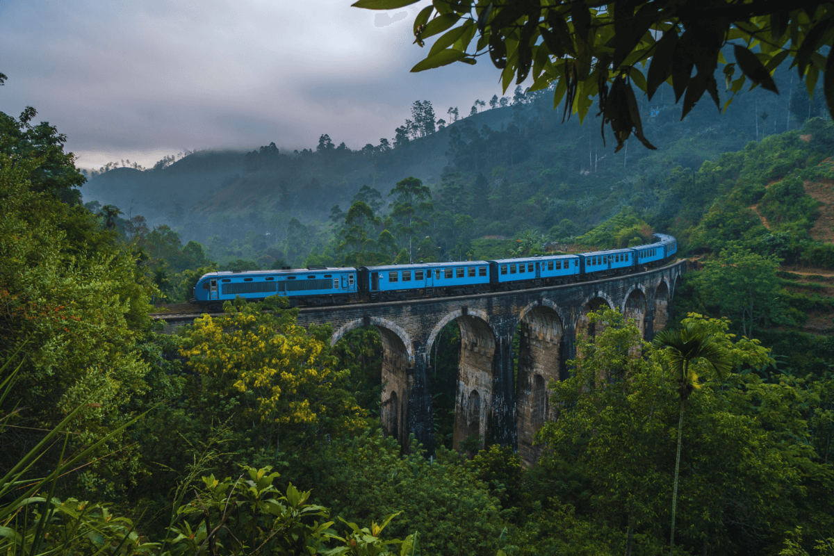 Ella Train Tour & Hiking- Best things to do in Ella