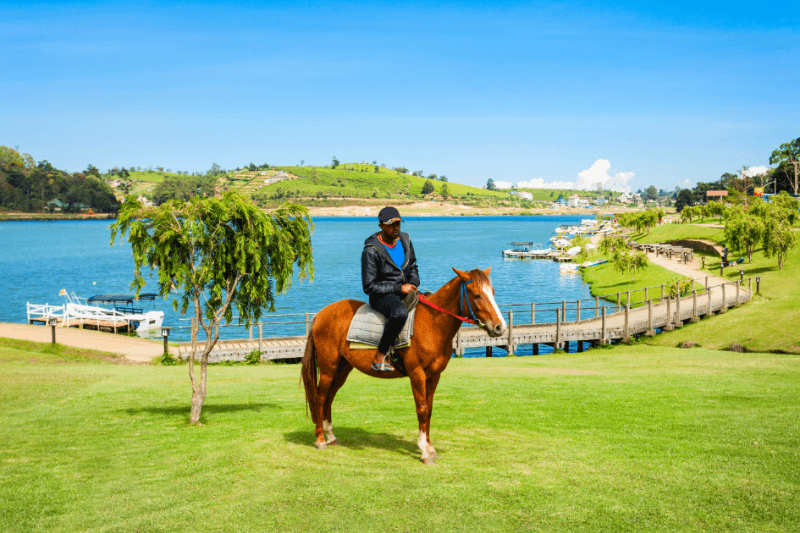 Horse Riding in Nuwara Eliya - one of the top things to do in Sri Lanka