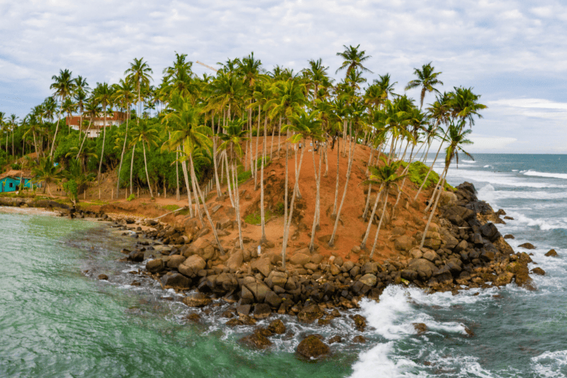 Visit Mirissa beach Southern Sri Lanka