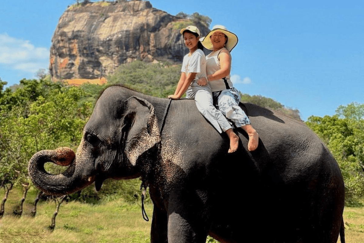 Elephant Riding in Sri Lanka