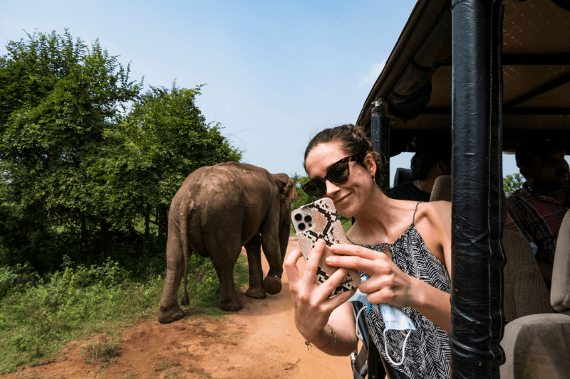 Elephants in Sri Lanka