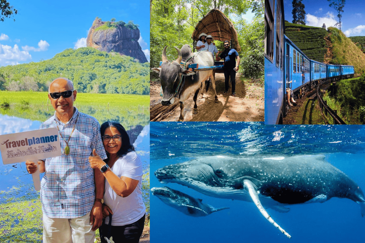 Best Time to Visit Sri Lanka: Weather, Seasons & Travel Tips (2026)