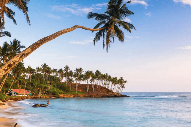 Mirissa beach Sri Lanka